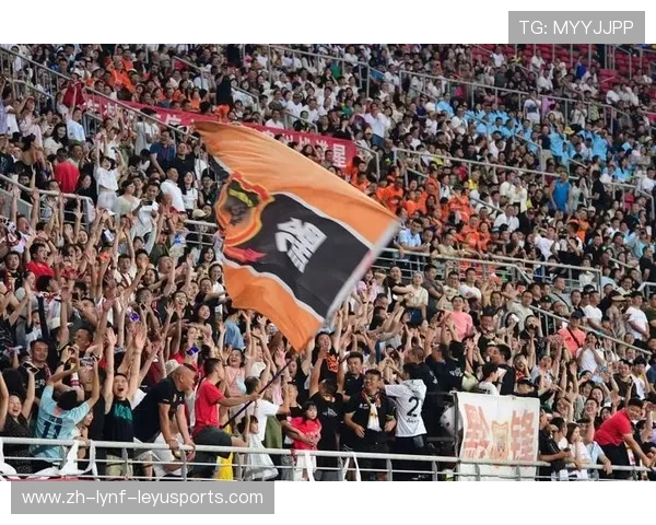 足球赛事的观众体验与观看习惯